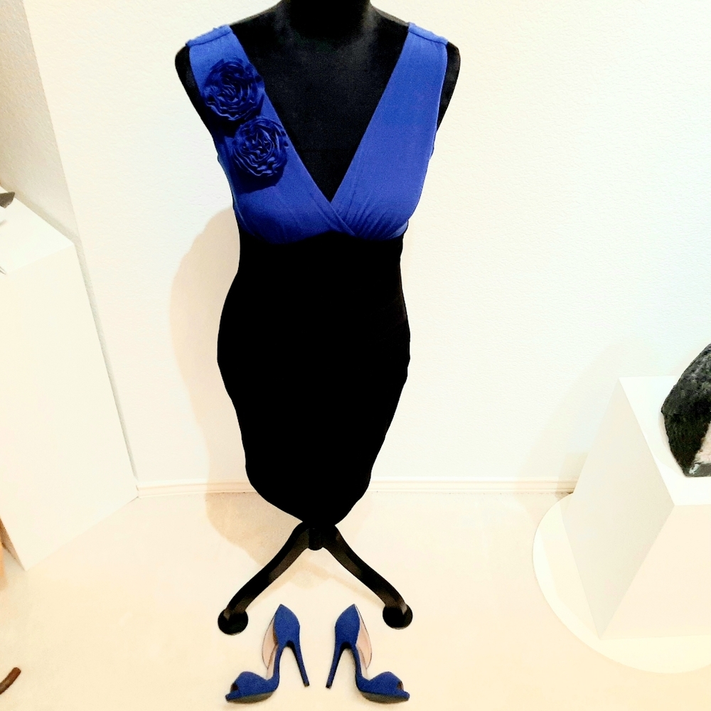 Cobalt Blue Cocktail Dress & Cobalt Pumps Gem
